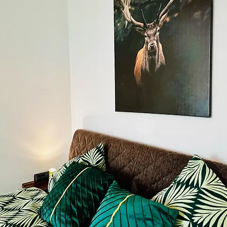 아파트 Casa Clara - Helle 2-zi-whg Nahe Uniklinik & Zentrum, Kueche Und Smarttv *