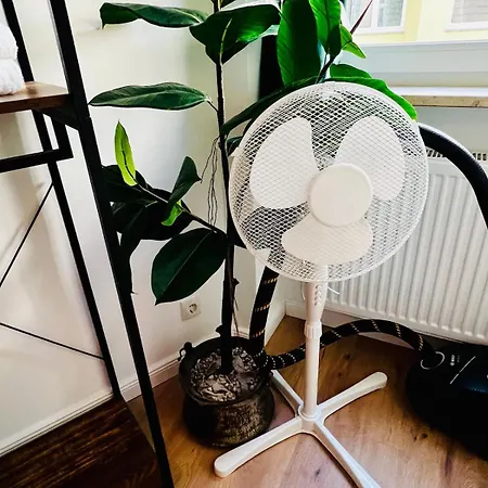 Casa Clara - Helle 2-zi-whg, Kueche Und Smarttv - Light Living Magdeburg