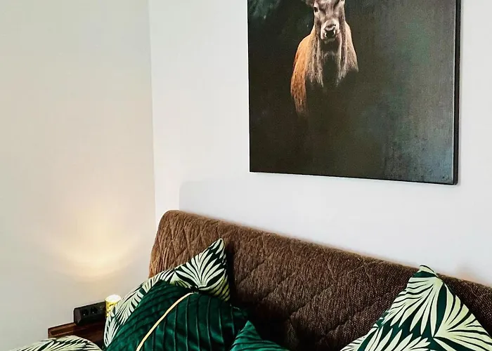 شقة Casa Clara - Helle 2-zi-whg Nahe Uniklinik & Zentrum, Kueche Und Smarttv *